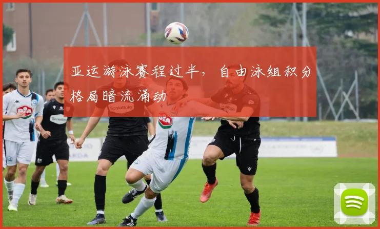 亚运游泳赛程过半，自由泳组积分格局暗流涌动