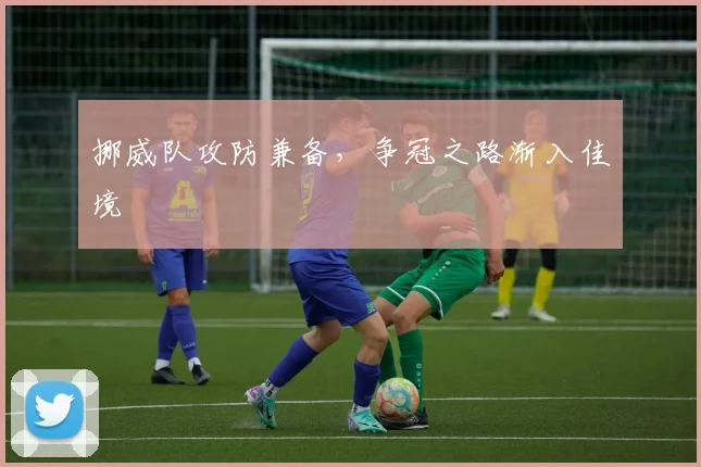 挪威队攻防兼备，争冠之路渐入佳境