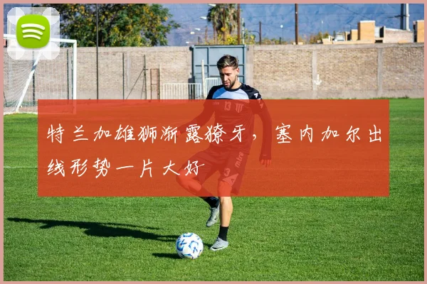 特兰加雄狮渐露獠牙，塞内加尔出线形势一片大好